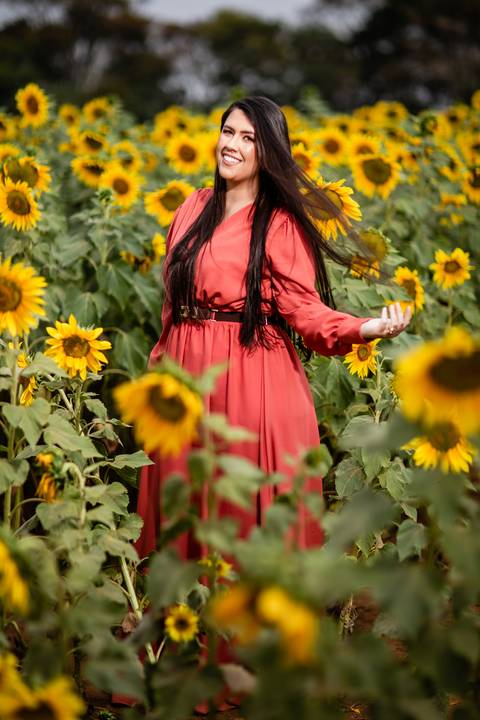 ensaio casal macena flores holambra pre wedding lindo plantação girasol noiva sozinha plantação girasol'