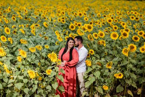 ensaio casal macena flores holambra pre wedding lindo plantação girasol casal abraçadinho'