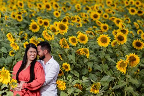 ensaio casal macena flores holambra pre wedding lindo plantação girasol casal juntinho'