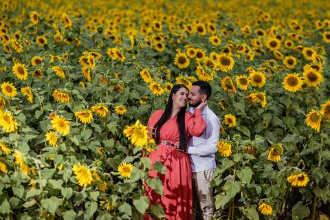 ensaio casal macena flores holambra pre wedding lindo plantação girasol casal pertinho'