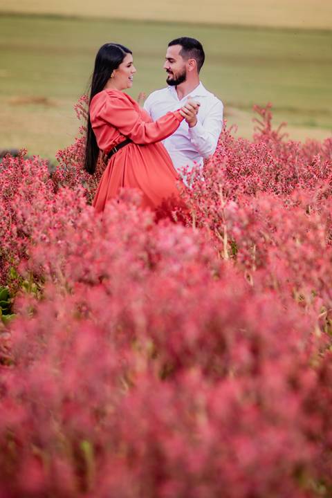 ensaio casal macena flores holambra pre wedding lindo plantação girasol '