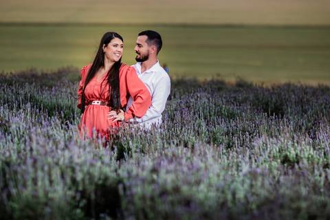 ensaio casal macena flores holambra pre wedding lindo plantação canteiro de lavanda'