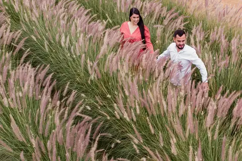 ensaio casal macena flores holambra pre wedding lindo  casal andando no centro flores 
'