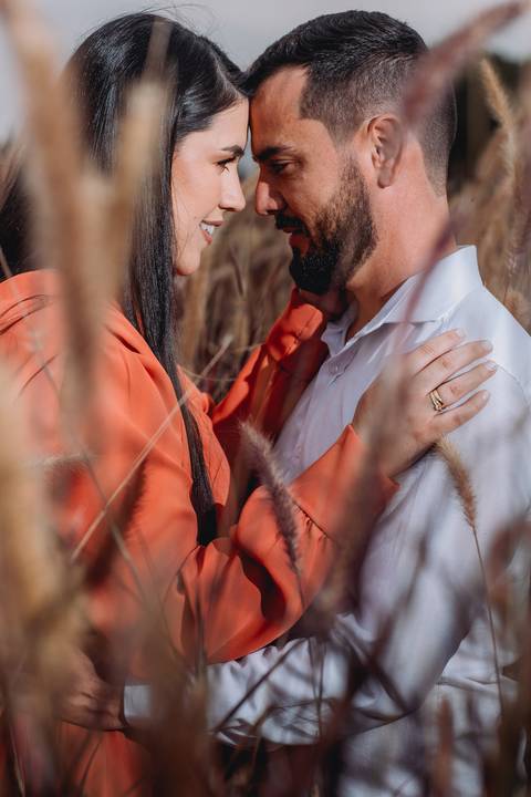 ensaio casal macena flores holambra pre wedding lindo  casal abraçado plantação trigo'