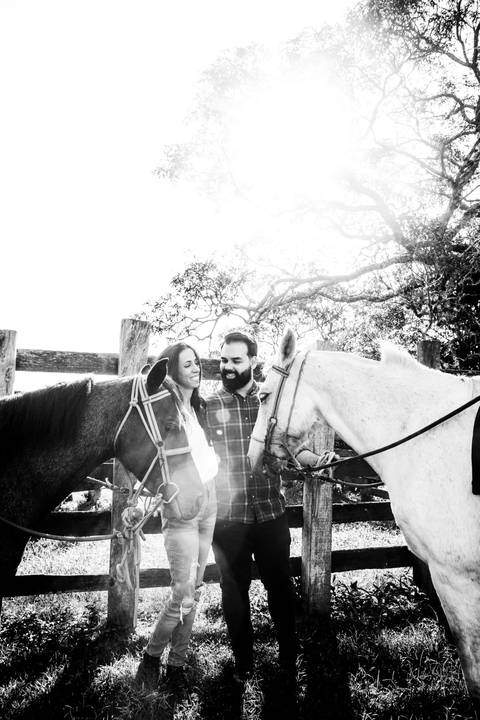 cavalos de frente um p/ outro com casal ao fndo'