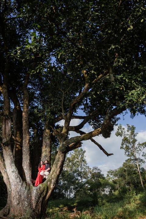 casal ensaio em cima pé de jaca enorme'