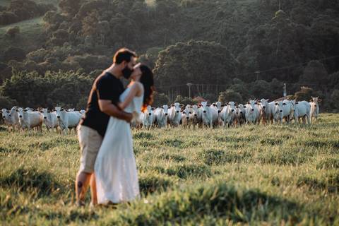 casal de beijando com boi olhando'