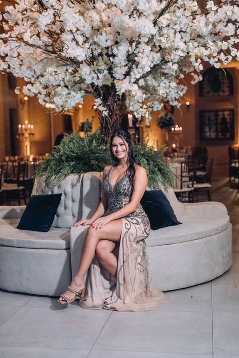 debutante sofa frances '