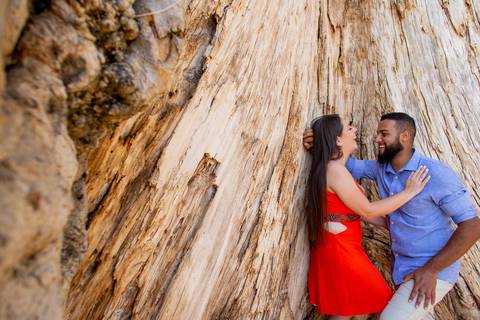 ensaio de foto pre wedding fotografo casamento swiss park campinas '