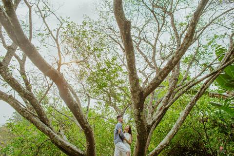 ensaio pre casamento morungaba itatiba valle das palmeiras  foto do casal em arvore linda'