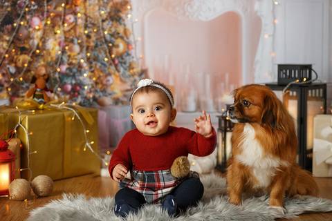 Idealconcept - Melhor fotógrafo de casamentos de Portugal, Smash The Cake, fotógrafo de família de Portugal, Sessão estúdio, coimbra, Sessão, Aveiro, Oliveira do Hospital, 1 ano, Fotógrafo Europeu, Arganil, sessão de natal, natal, fotografia de natal'