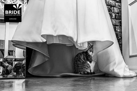 Foto Premiada,  Awarded photo - Bride [Casamento] 4º ROUND 2024'