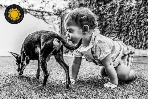 Foto Premiada Ensaio Família em Miami, fotografia de família, PETTER CAMPAGNA | Awarded photo - Instinto Criativo Awards / 2024 Categoria Família Round 2'