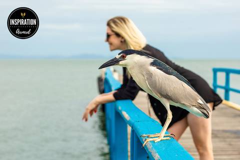 Foto premiada inspiration photographers, ensaio, ensaio externo, ensaio feminino, Awarded photo - Portrait Awards 14 / 2022'