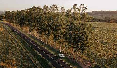 Presidente Prudente - SP '