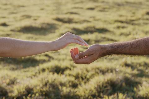 Presidente Prudente - SP '