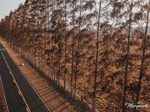 #londrina #londrinafotografo #fotografoemlondrina #fotografaemlondrina #fotografolondrina #casandoemlondrina #londrinacasamentos #eventoslondrina #noivalondrina #casamentosnacidadelondrina #presidenteprudente #casamentospresidenteprudente'