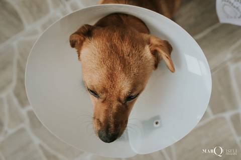 #casamento #wedding #noiva #noivos #voucasar #inspiracao #fotosdecasal #noivei #prewedding #fotodecasamento #sounoiva #noivos2021 #inspiracaodecasamento #precasamento #ensaio #ensaiodecasal #esession'