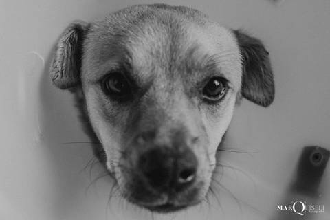 #casamento #wedding #noiva #noivos #voucasar #inspiracao #fotosdecasal #noivei #prewedding #fotodecasamento #sounoiva #noivos2021 #inspiracaodecasamento #precasamento #ensaio #ensaiodecasal #esession'