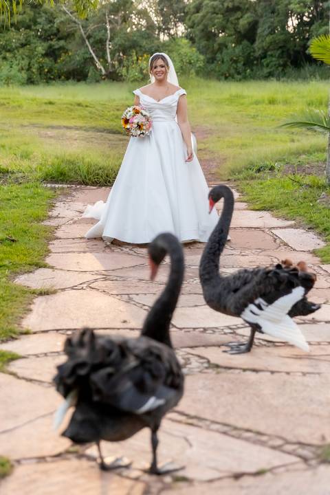 Casamento Aline e Thiago'