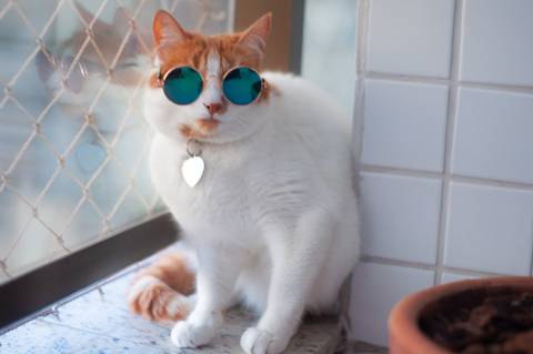 '