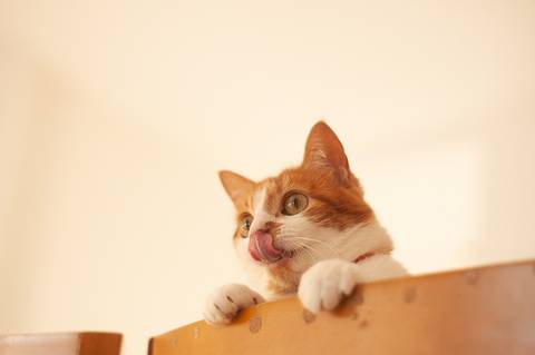 '