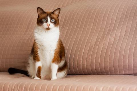 '