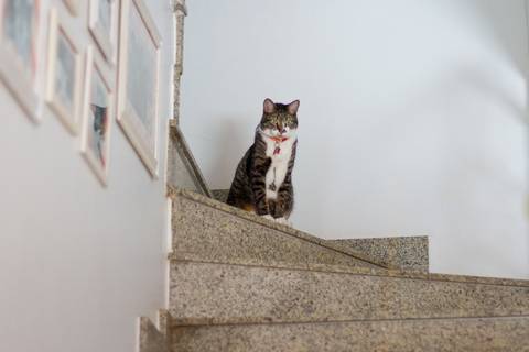 '