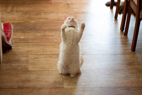'