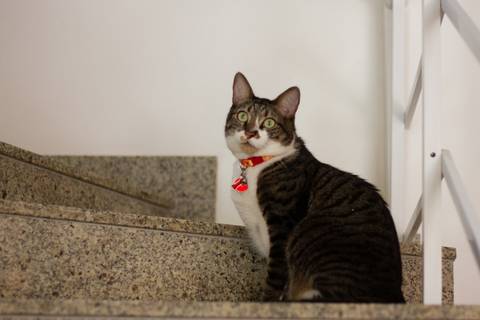 '