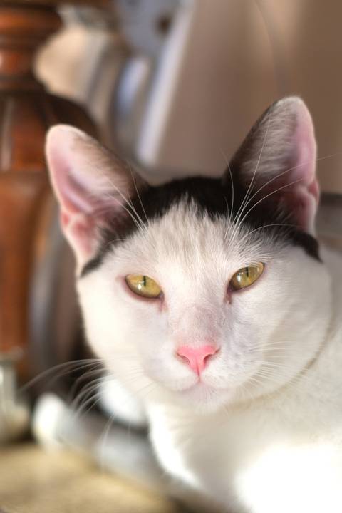 '