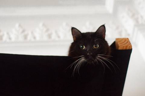 '