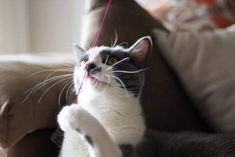 '