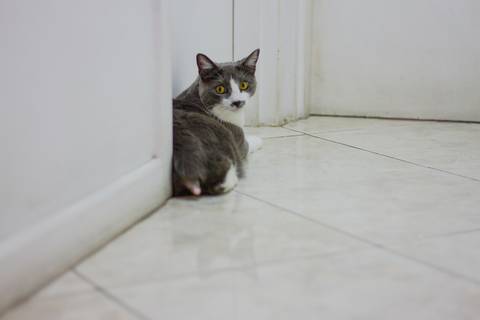 '