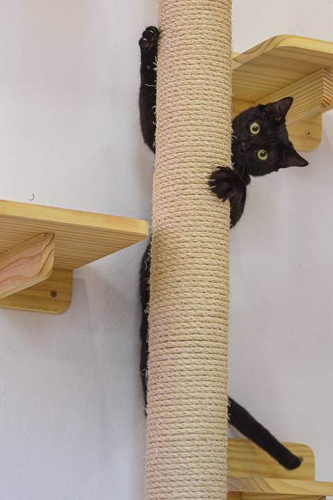 '