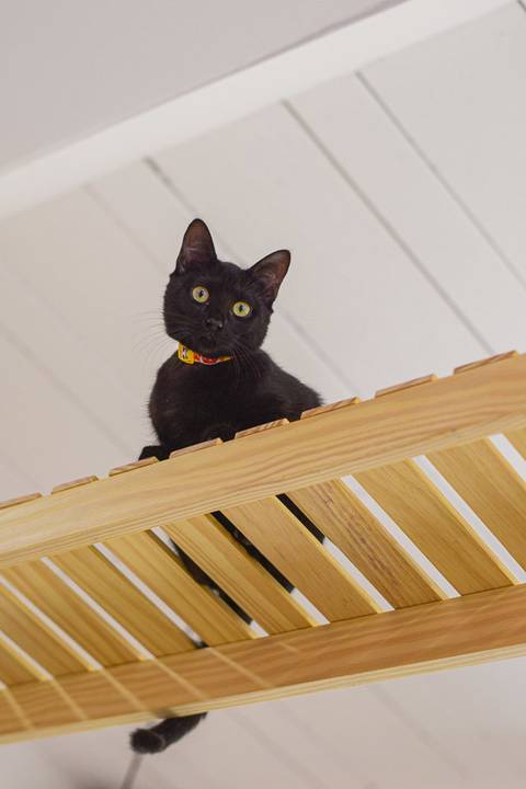 '