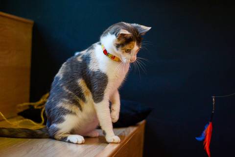 '