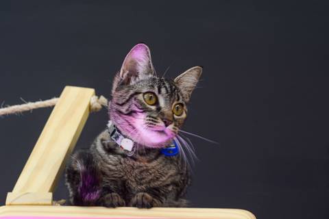 '