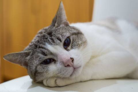 '