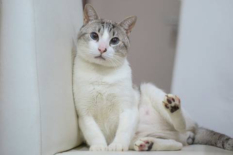 '