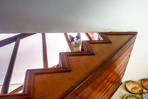 '