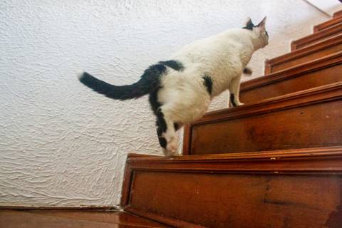 '
