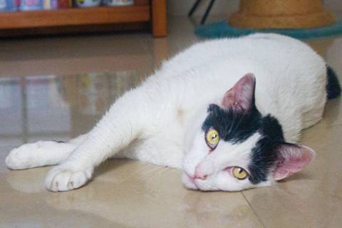 '