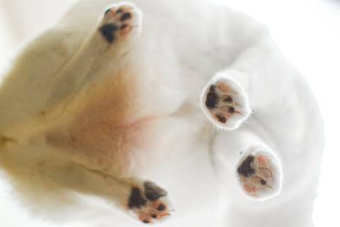 '
