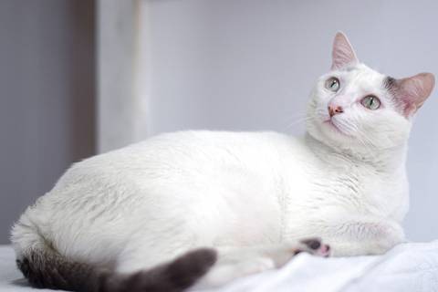 '