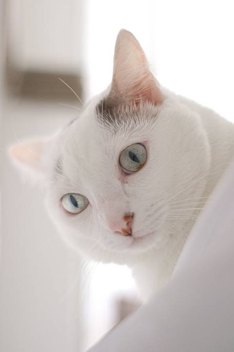 '