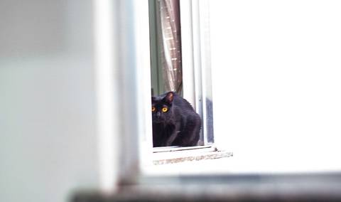 '