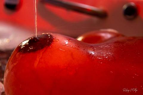 Esse post não é pra todo mundo - Ph Rodrigo Mattjie - Barcarena Pará '