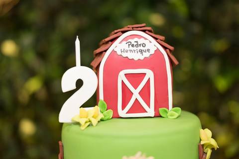 cobertura festa infantil, aniversário infantil com tema mini fazenda fazendinha, não faltou chapéu de palha, lembrancinhas personalizadas personalizados, sapo de pelúcia, o povo da roça aproveitou toda a diversão. Evento realizado na serra.'