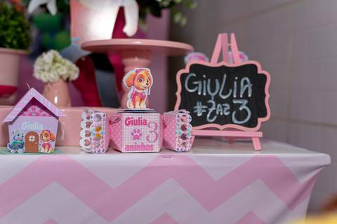 festa infantil 3 anos menina tema patrulha canina skye creche piu piu jardim encantado Parque residencial laranejeiras serra'